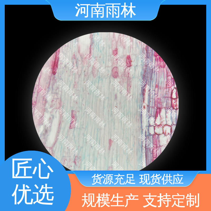 雨林教育工程 品质优良 支持定制 病害标本 可后期加工