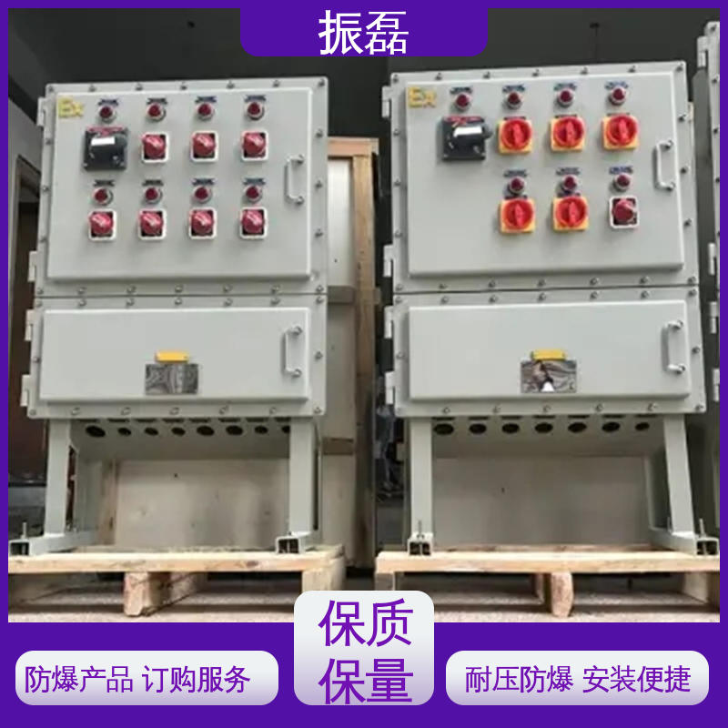 振磊 工地 风机控制柜 bxm防爆照明动力配电箱 生产厂家