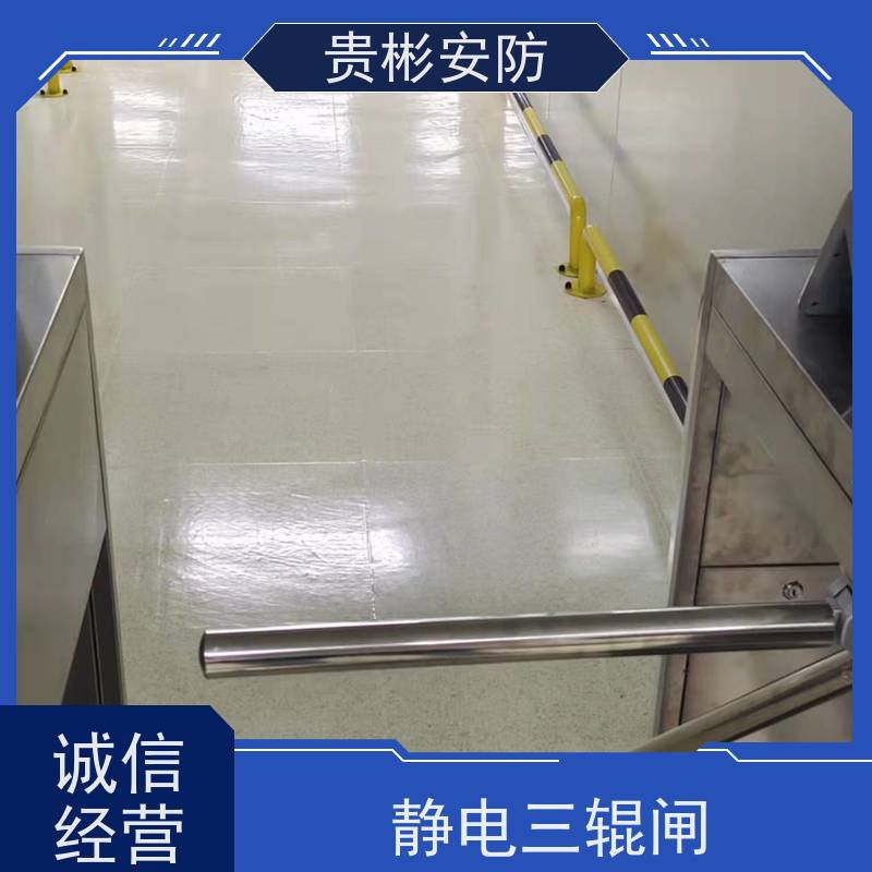 贵彬安防 闸机门禁系统 esd静电测试摆闸 304不锈钢材质 适用广泛