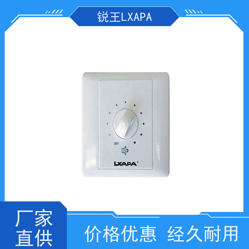锐王LXAPA 商场背景音乐 同轴吸顶喇叭 草地音响