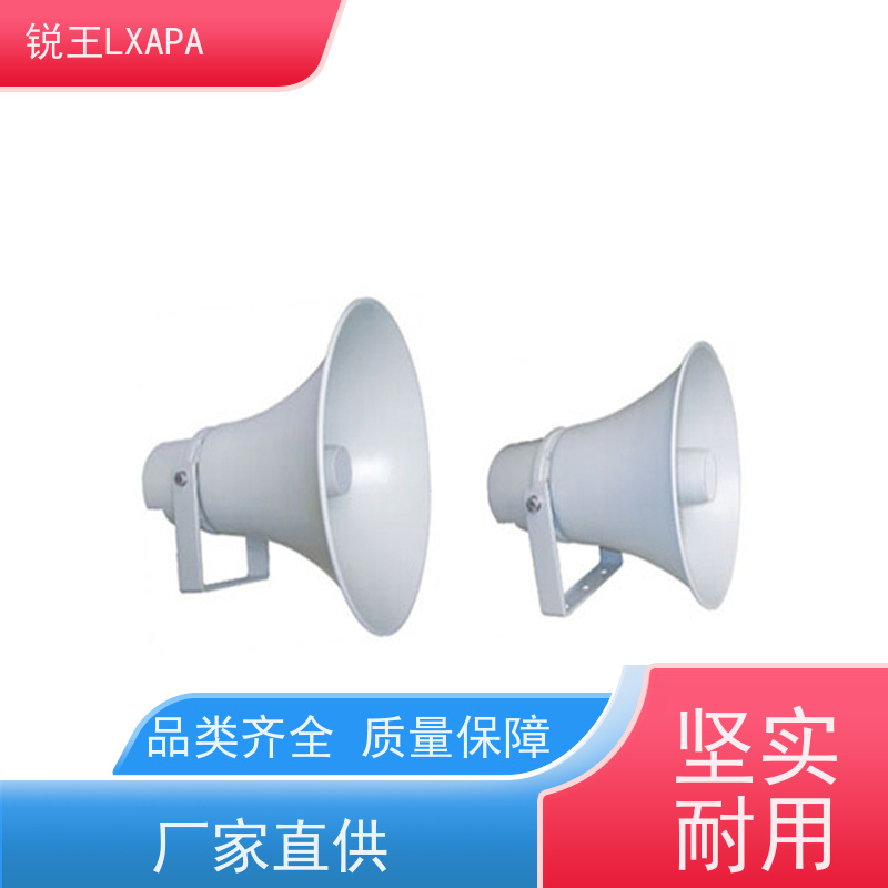 锐王LXAPA 吸顶式天花喇叭 网络校园广播系统 音响设备