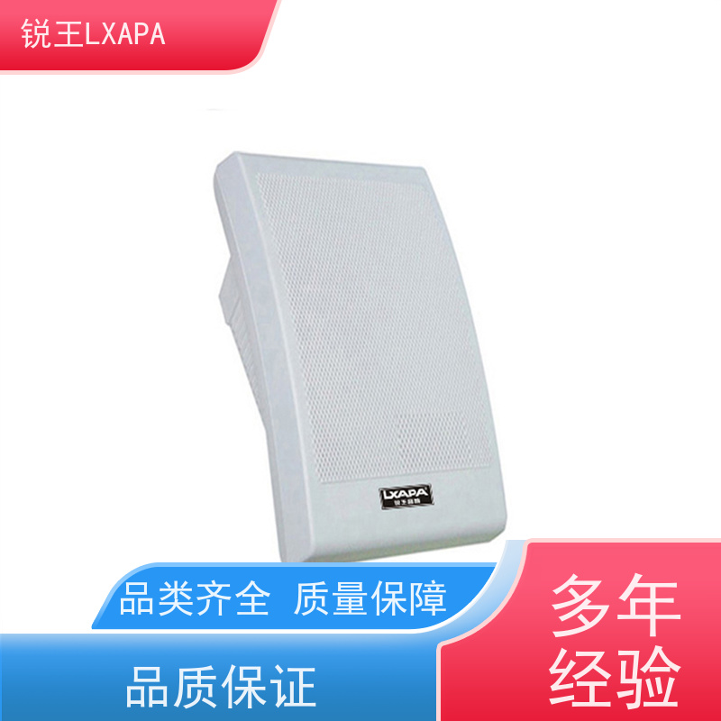 锐王LXAPA 调频音柱 幼儿园广播系统设备 大功率喇叭