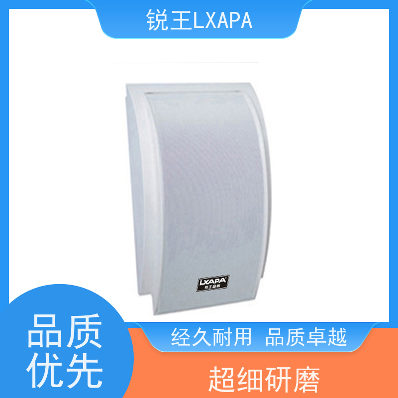 锐王LXAPA 防水天花喇叭 店铺背景音乐广播系统设备 壁挂音箱