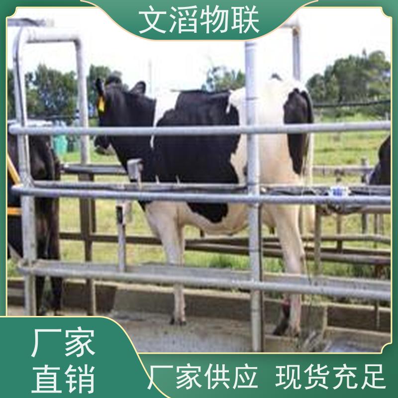 动态称 较高精度 方便便捷 多剂量称重 耐用精度高