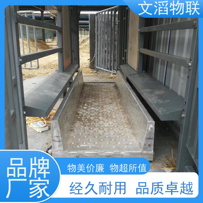畜牧秤 智能称重 屠宰场秤销售 吊装秤定制 带围栏