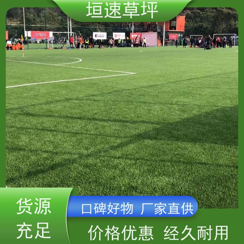 垣速 人工草皮球场地面处理 上海门球场地改造 加密人造草坪 翻修维护
