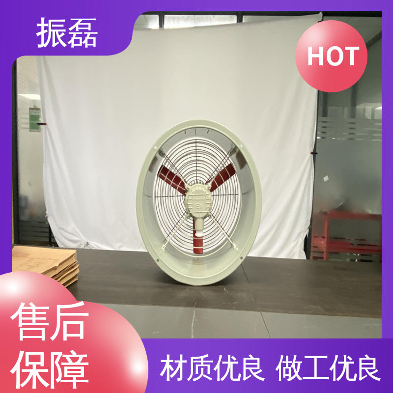 振磊 工业厂房3c K40矿井矿用 手提式安全防爆轴流风机BSFT 防雨防尘