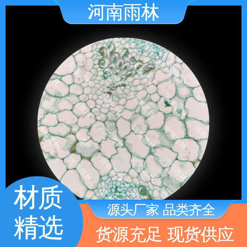 可后期加工 个性化定做 切片安全 实验标本 雨林