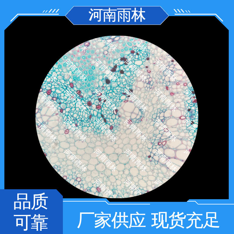 雨林教育 品质优良 个性化定做 性价比高 显微切片