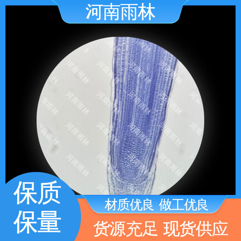 雨林教育 显微标本 支持定制 切片安全 可后期加工