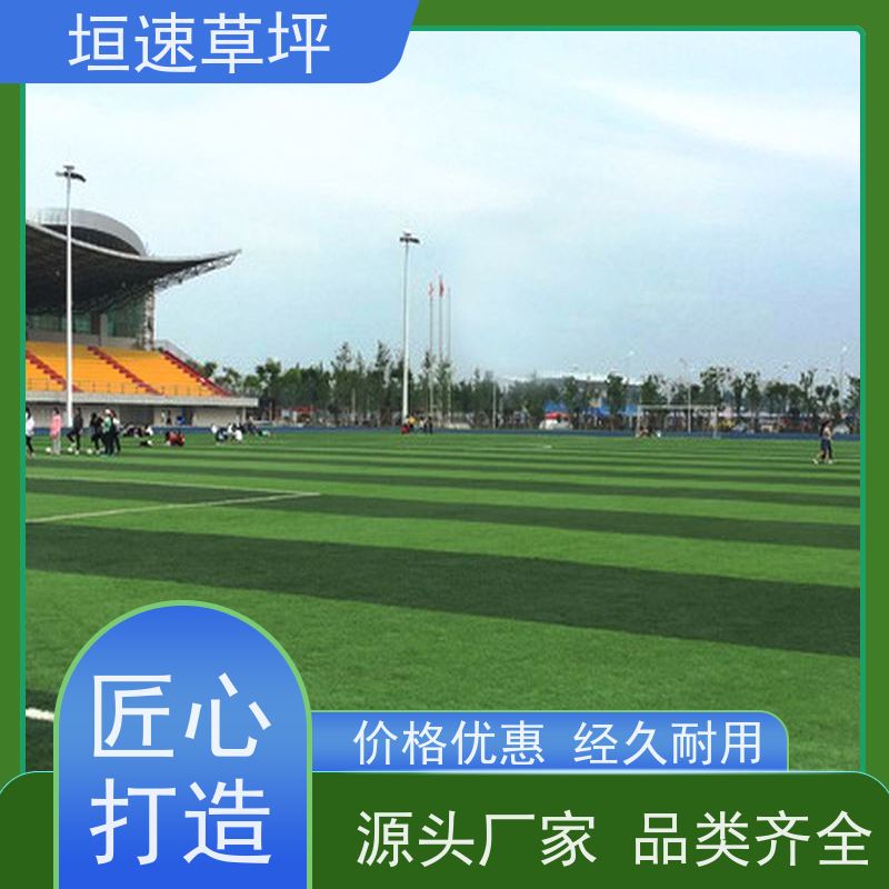 垣速 上海门球场地修建 塑料草坪厂家施工工艺 人造草坪装饰 安装铺设
