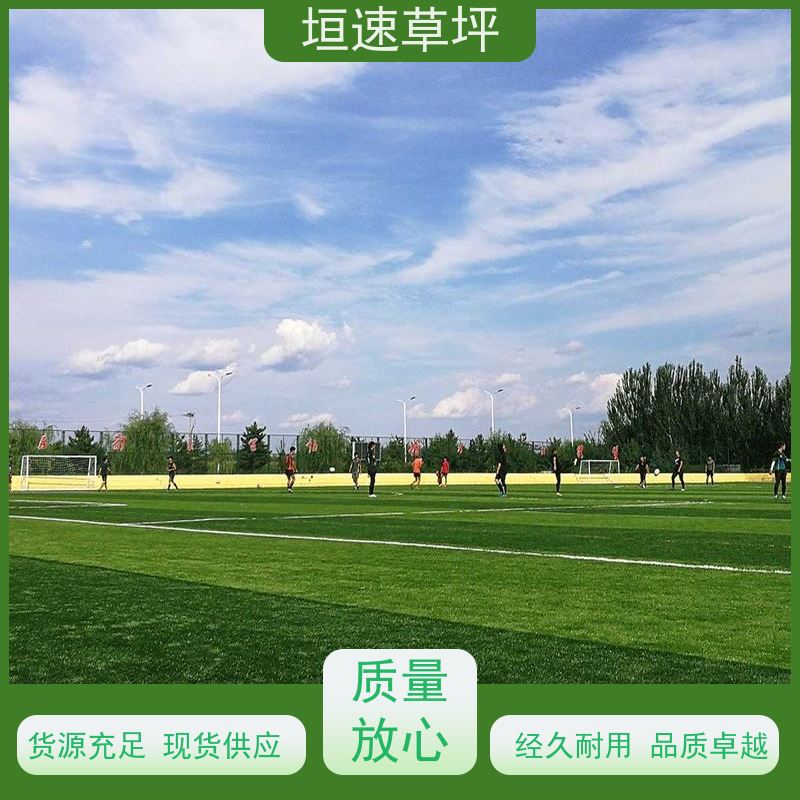 垣速 翻新改造 仿真足球场草坪材质选择 景观人造草坪 杭州门球场新建