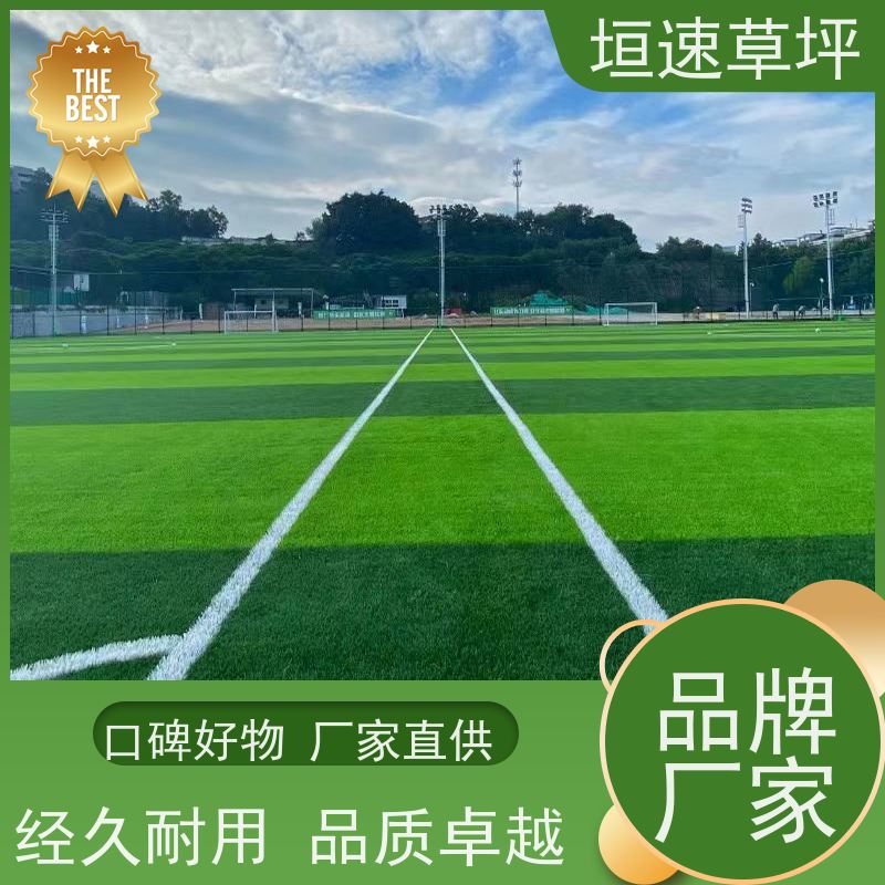 垣速 上海打造门球场草皮 塑料草坪厂家施工工艺 人工假草皮 翻修维护