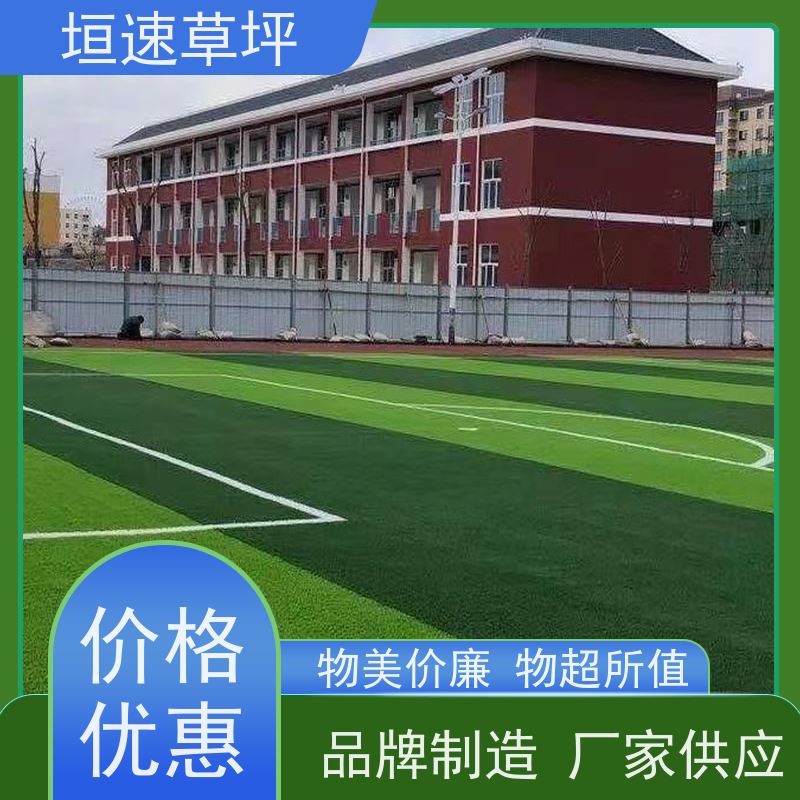 垣速 塑料仿真草坪 翻修维护 上海门球场制作 仿真人造草坪基层要求