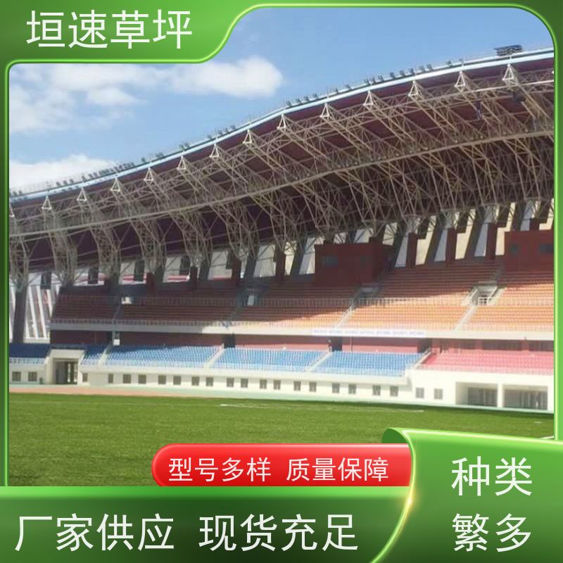 垣速 上海足球场承建 仿真足球场草坪材质选择 景观塑料草坪 改造维修