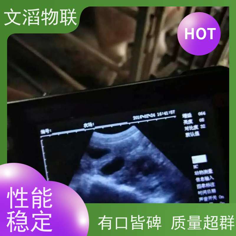 文滔物联 智能化 饲喂监控系统 生成厂家 支持定制 