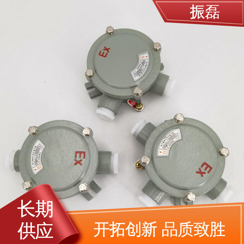振磊 防爆吊灯盒 防腐等级WF2 直平三通防水防尘穿