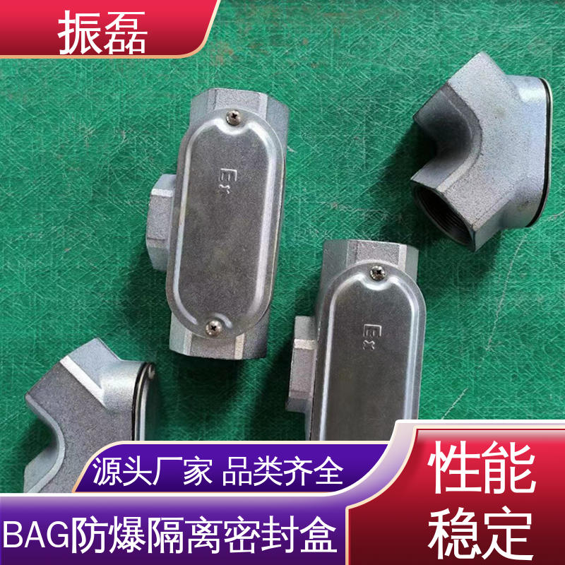 振磊 BAG 接堵头一寸横纵向穿线 不锈钢防爆隔离密封盒 横向性