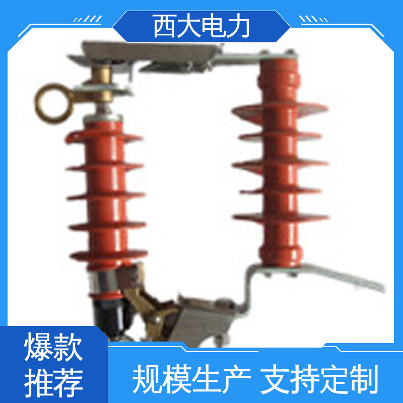 HY5WS-17 户外跌落式避雷器 支持根据图纸定做 西大电力