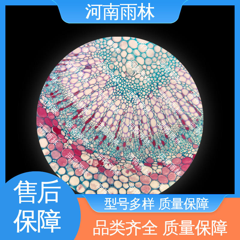 专业 品质优良 售后无忧 实验标本 雨林教育工程