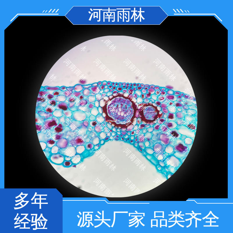 可提供材料 显微标本 个性化定做 切片安全 雨林教育工程