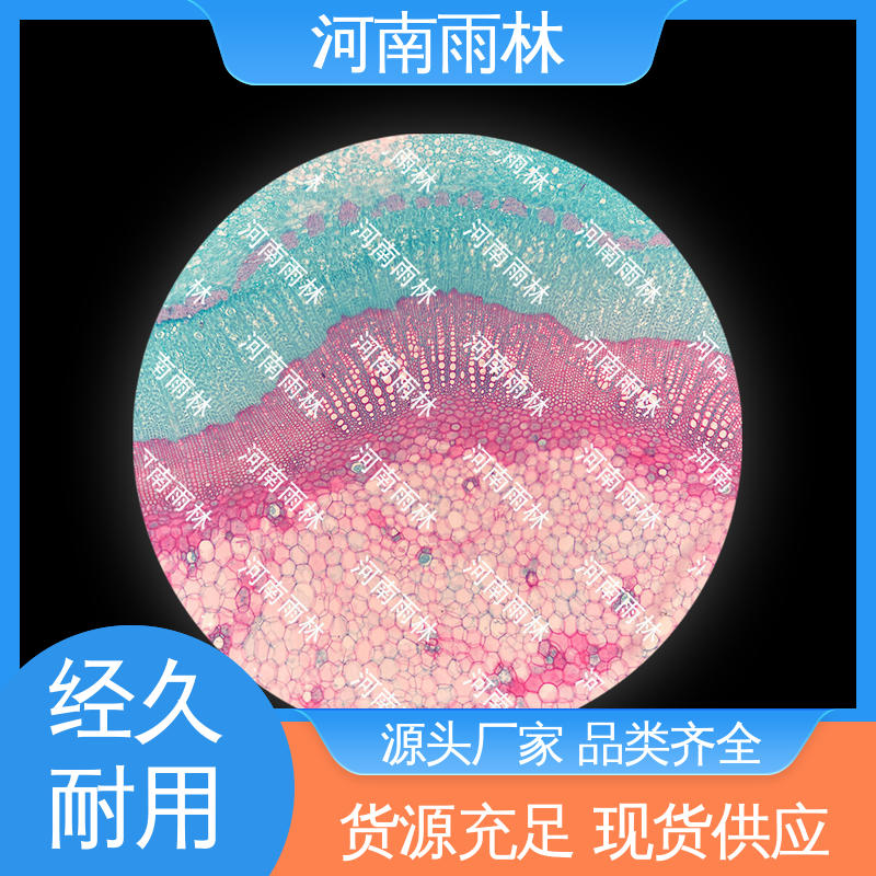 显微切片 品质优良 可后期加工 个性化定做 雨林教育工程