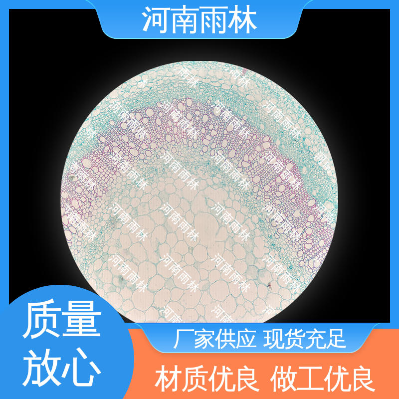 可定制 细胞清晰 厂家销售 生物切片 雨林教育工程