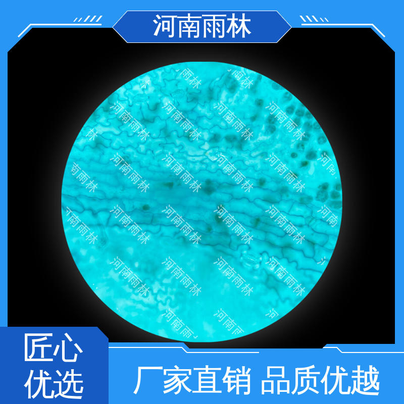 生物切片 细胞清晰 支持定制 质量优 雨林教育工程