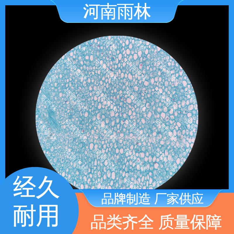 雨林教育工程 专业 植物切片 性价比高 质量保障