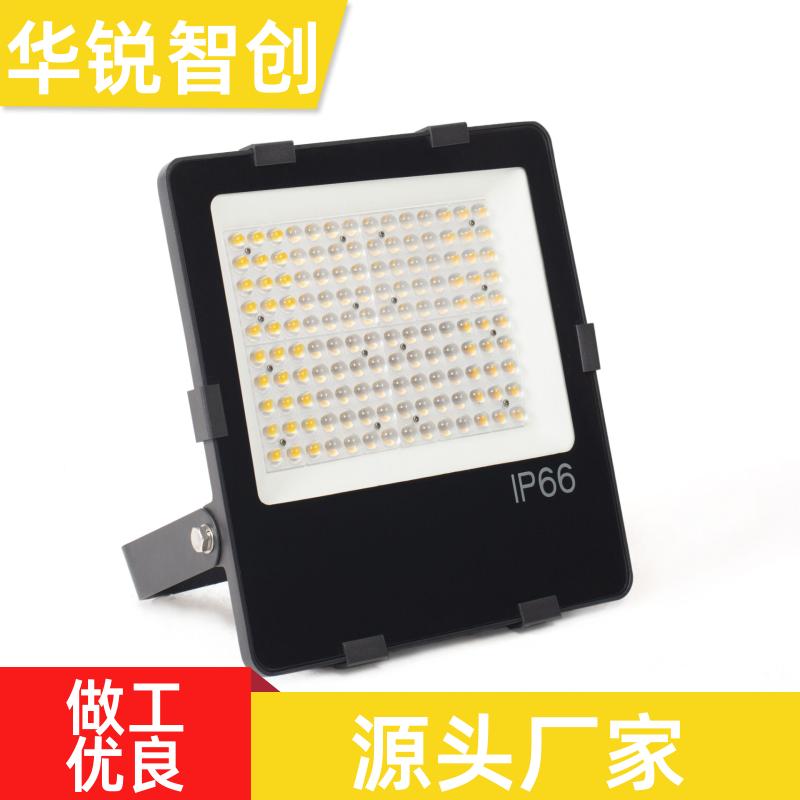 华锐智创 大功率泛光灯 LED投光灯 高亮足瓦 100w