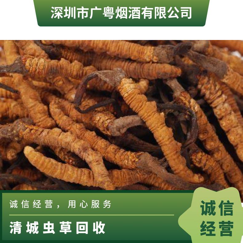 清 城虫草回收行情分析 业务员24小时上门回收冬虫夏草 点礼成金