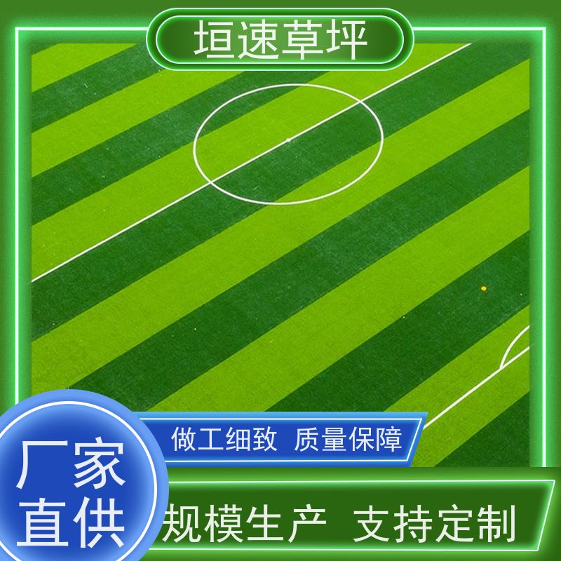 垣速 修建费用 人工塑料草坪 上海门球场地改造 门球场人造草造价成本