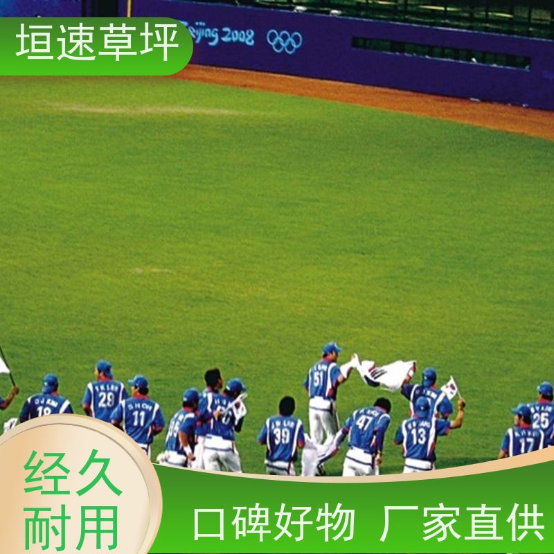 垣速 施工建设 仿真塑料草坪 上海足球场承建 人造足球场草皮包工包料