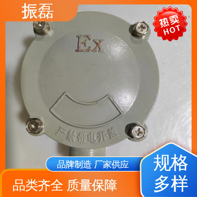 振磊 铸铝防爆接线箱盒 管螺纹可定制 防腐等级WF2 BHC AC