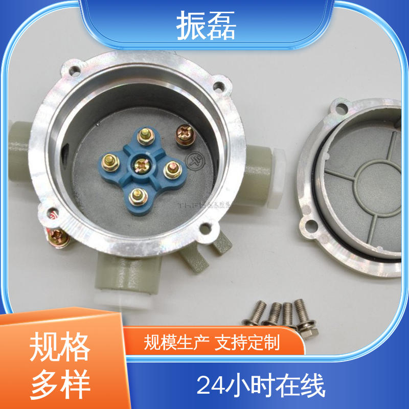 振磊 BAH系列 管螺纹可定制 吊盖通 不锈钢防爆接线盒