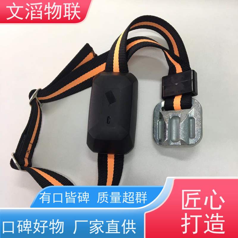 文滔物联 猪B超 GPS定位发情监测计步器 源头厂家 