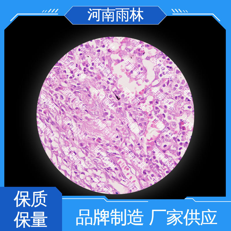 一对一质检 厂家销售 教学切片 可后期加工 雨林教育