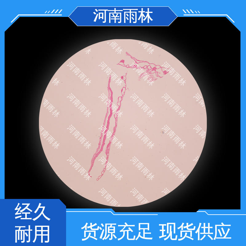 雨林教育工程 个性化定做 可提供材料 颜色鲜亮 生物切片