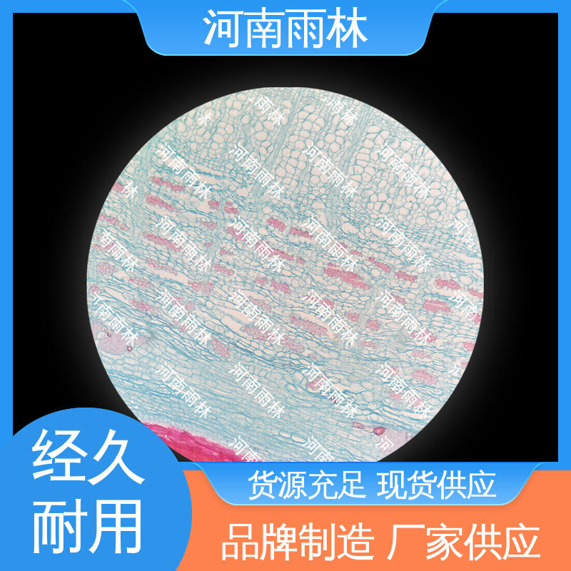 雨林教育工程 可定制 品质优良 教学切片 厂家销售