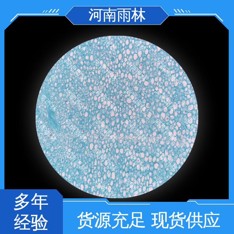 雨林教育 切片安全 性价比高 各类标本 支持定制