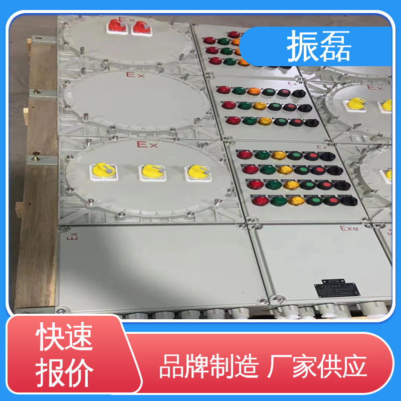 外壳铝合金材质 粉尘防爆控制箱 不锈钢配电箱 振磊