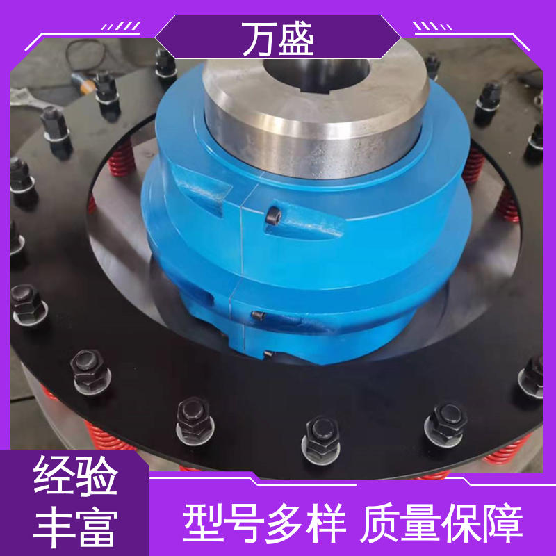 JS8蛇簧传动连接轴 靠背轮弹性联轴器 快速拆装式 万盛