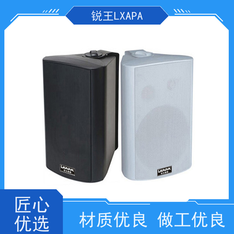 锐王LXAPA 公园广播系统设备 挂式音箱 IP网络有源吸顶喇叭音响