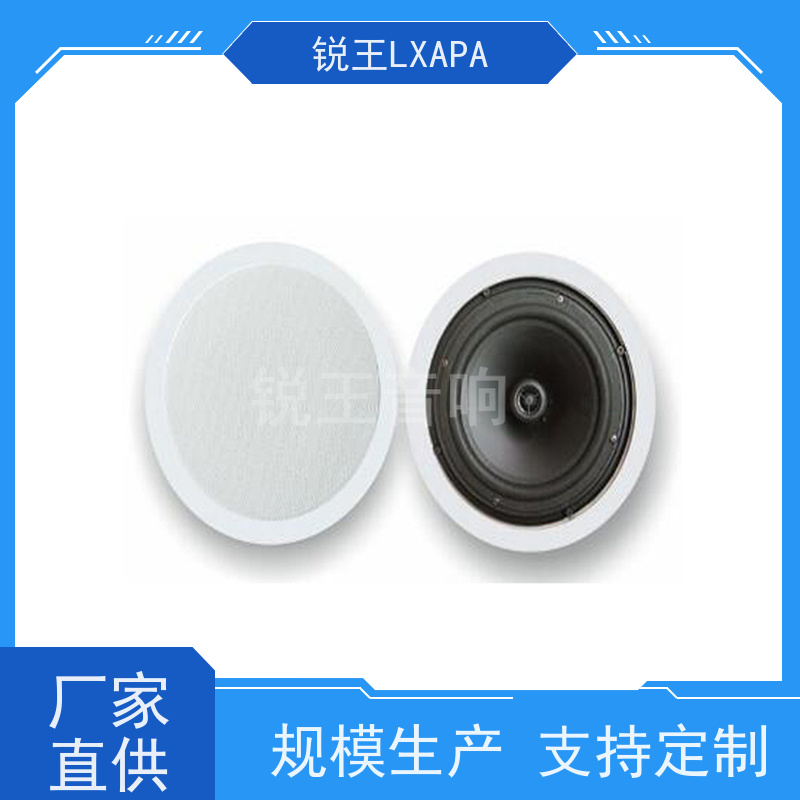 锐王LXAPA 隐藏式天花喇叭 背景音乐广播系统设备 吸顶蓝牙音响