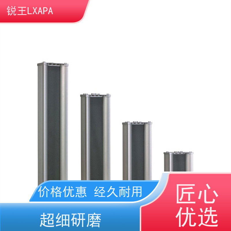 锐王LXAPA 咖啡厅超市店铺 扬声器工程 农村喇叭