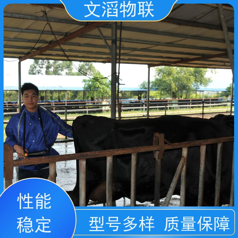 文滔物联 高新科技 养殖饲喂监控系统 源头工厂 有保障 