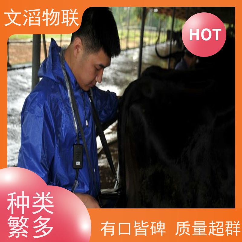 文滔物联 先进技术 全混合日粮精准饲喂监控系统 好品质 服务好 