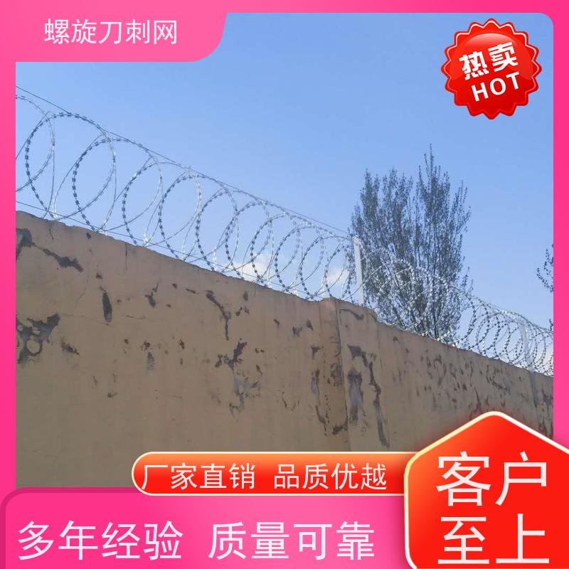 围墙防爬刺路边防攀爬铁蒺藜高锌刺丝滚笼颜色