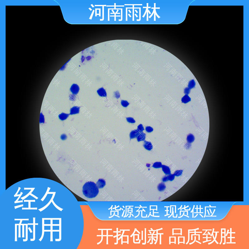 雨林教育工程 一对一质检 显微标本 专业 可后期加工