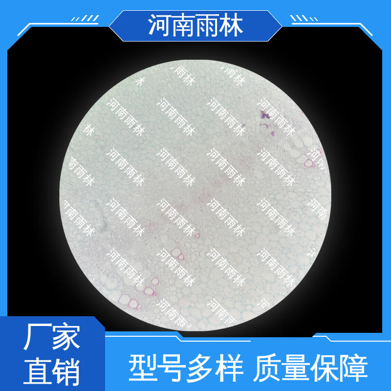 雨林 可提供材料 高等教育 一对一质检 厂家销售